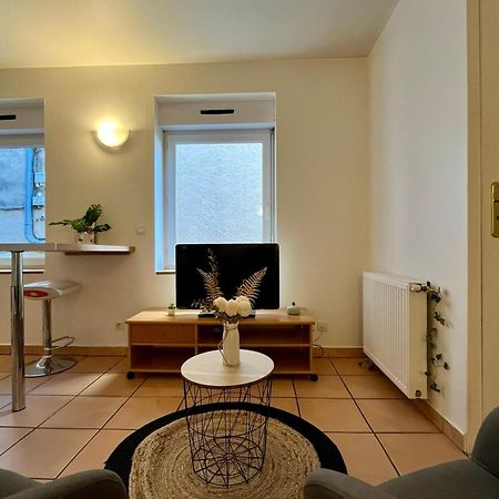Le Studio Theolier Downtown - Close To Pedestrian Street Tournon-sur-Rhone Ngoại thất bức ảnh