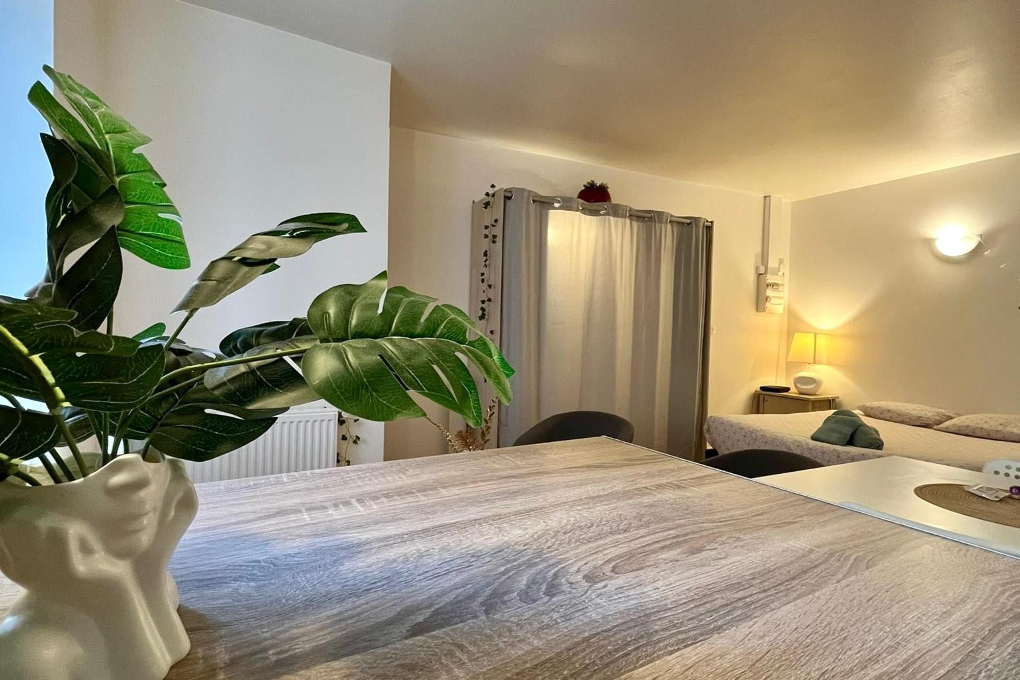 Le Studio Theolier Downtown - Close To Pedestrian Street Tournon-sur-Rhone Ngoại thất bức ảnh